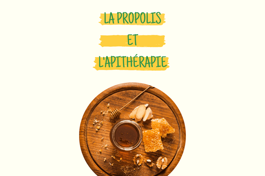 Qu’est-ce que l’Apithérapie ? - Alvéolys