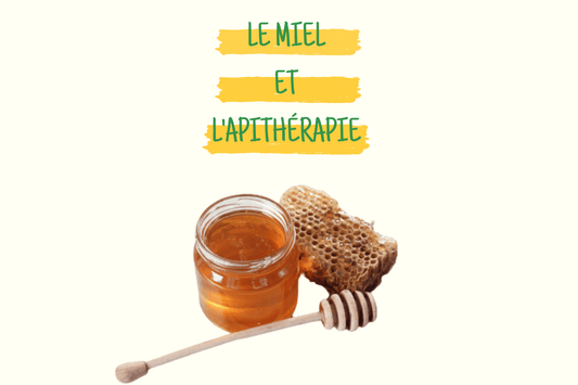 Le Miel et l'Apithérapie