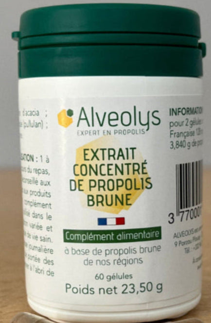 Gélules de propolis brune de nos régions