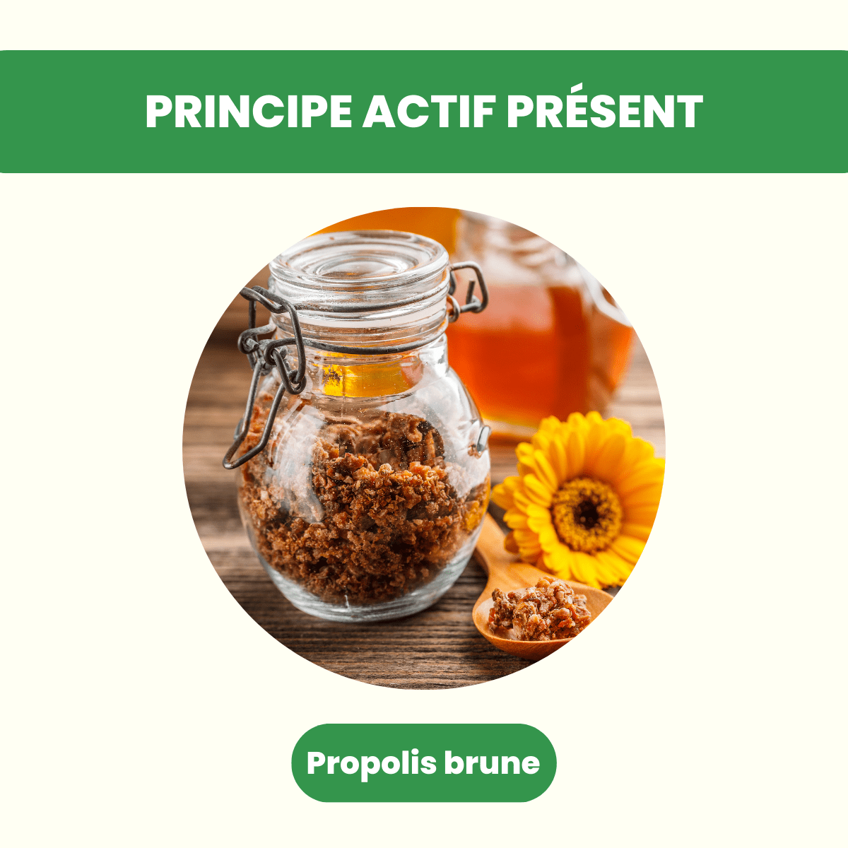 Extrait concentré de propolis brune