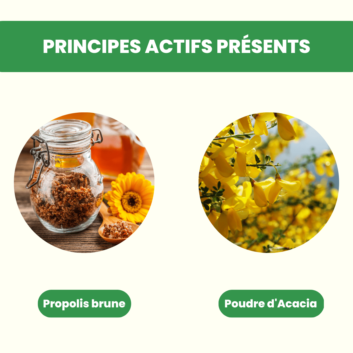 Propolis française Brune concentrée